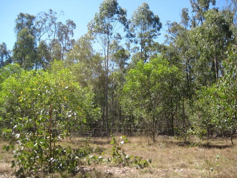 Booyal QLD 4671