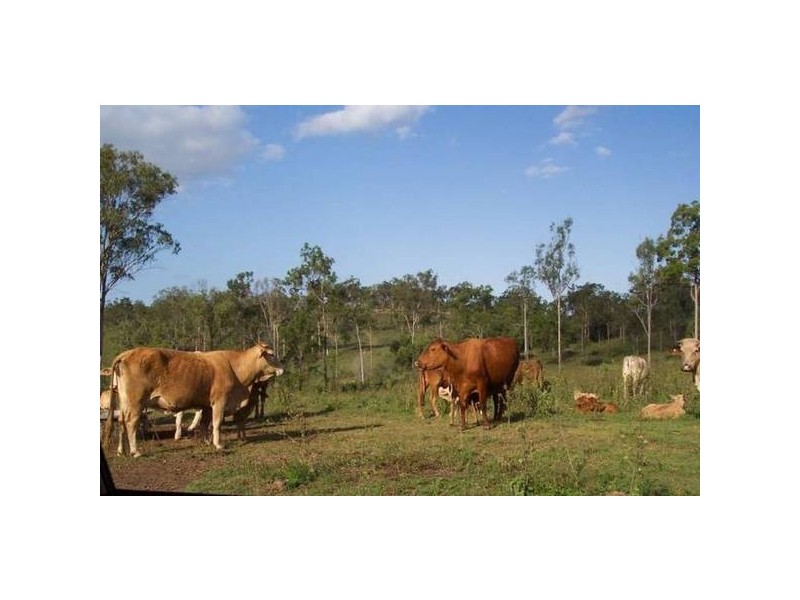 Lowmead QLD 4676