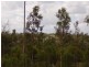 Lowmead QLD 4676