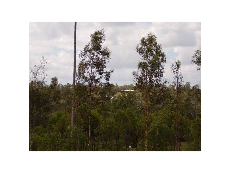Lowmead QLD 4676