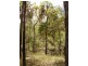Lowmead QLD 4676