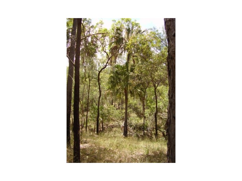 Lowmead QLD 4676