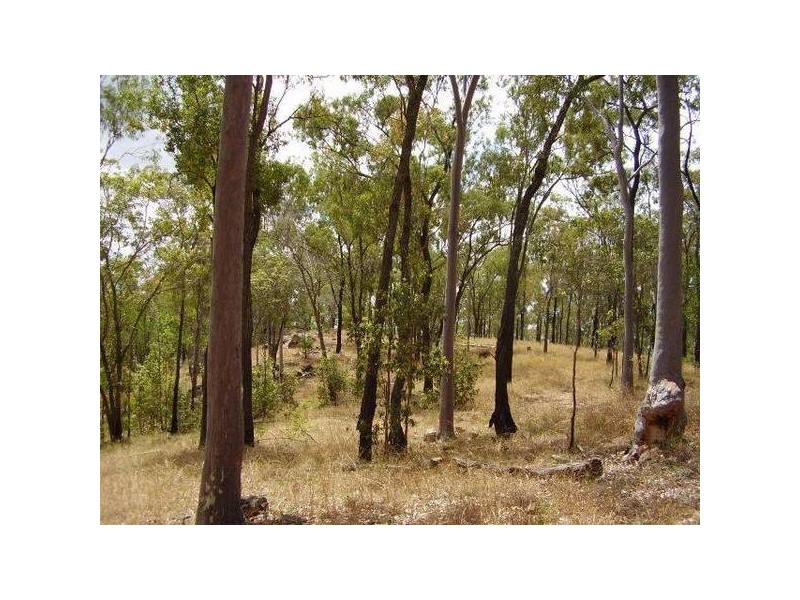 Lowmead QLD 4676
