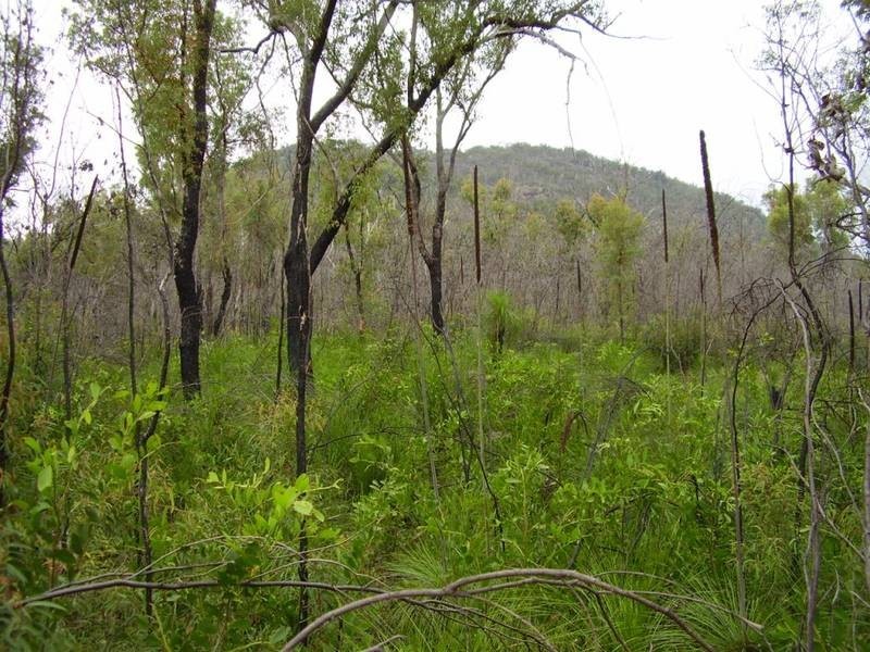 Mount Maria QLD 4674