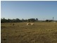 Bucca QLD 4670