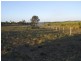 Bucca QLD 4670