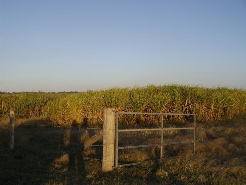 Bucca QLD 4670