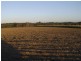 Bucca QLD 4670