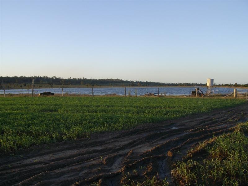 Bucca QLD 4670