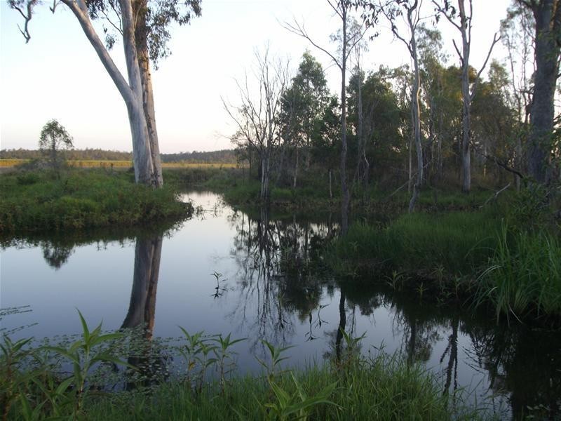 Bucca QLD 4670