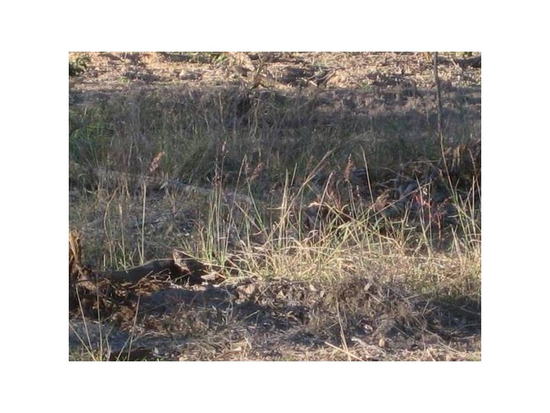 Kullogum QLD 4660