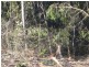 Kullogum QLD 4660