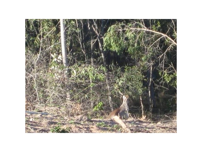 Kullogum QLD 4660
