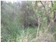 Kullogum QLD 4660
