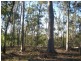 Kullogum QLD 4660