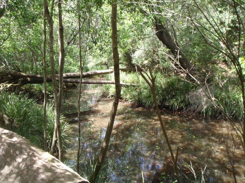 North Gregory QLD 4660