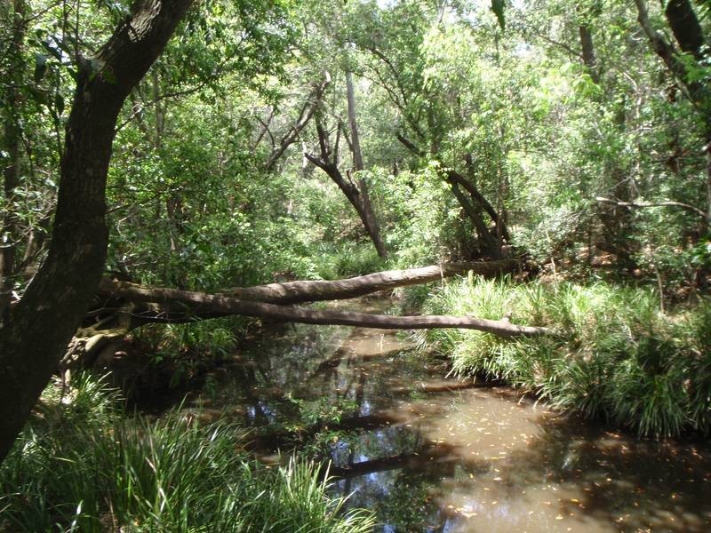 North Gregory QLD 4660