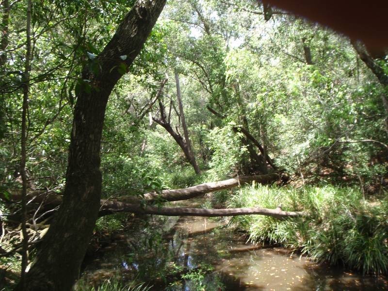 North Gregory QLD 4660