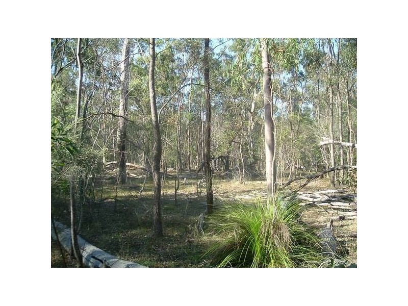 Baffle Creek QLD 4674