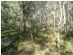 Baffle Creek QLD 4674