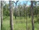 Captain Creek QLD 4677