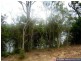 Oyster Creek QLD 4674