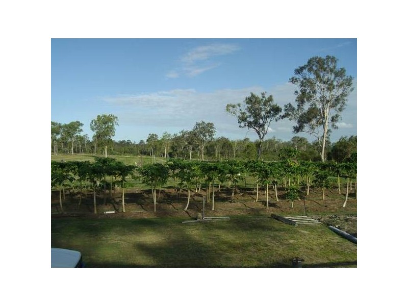 Yandaran QLD 4673