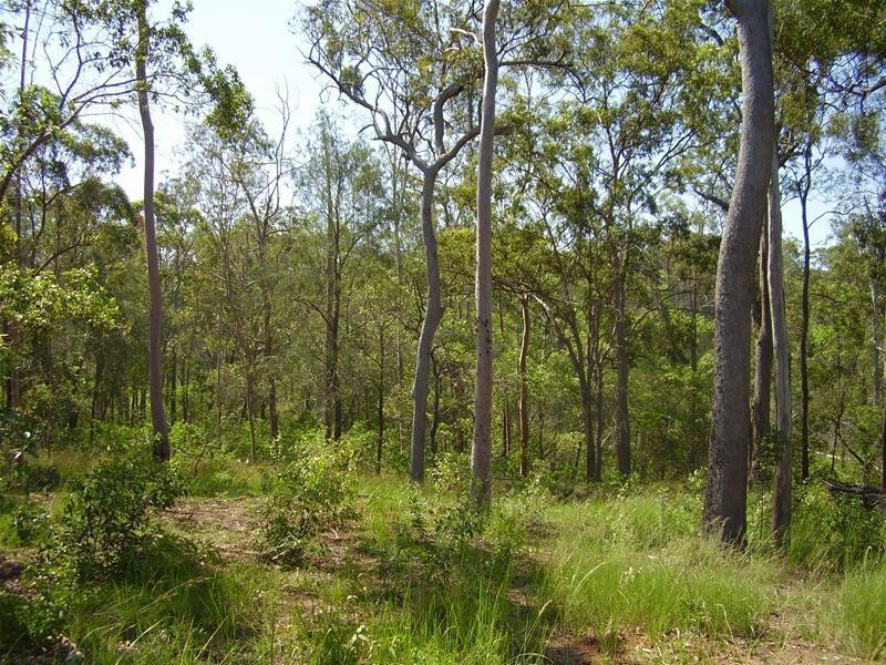 Yandaran QLD 4673
