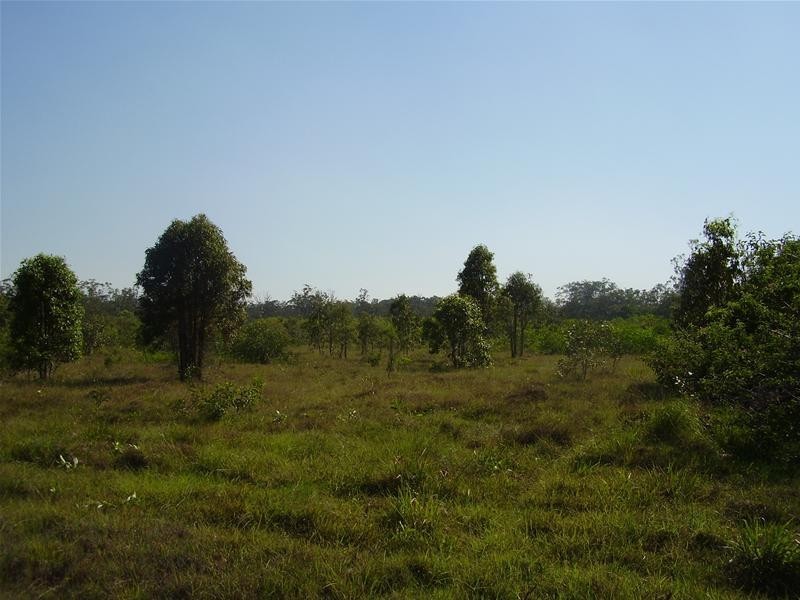 Yandaran QLD 4673