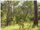 Yandaran QLD 4673