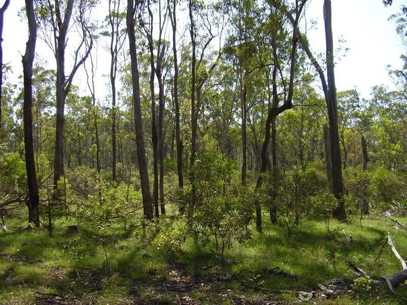 Yandaran QLD 4673