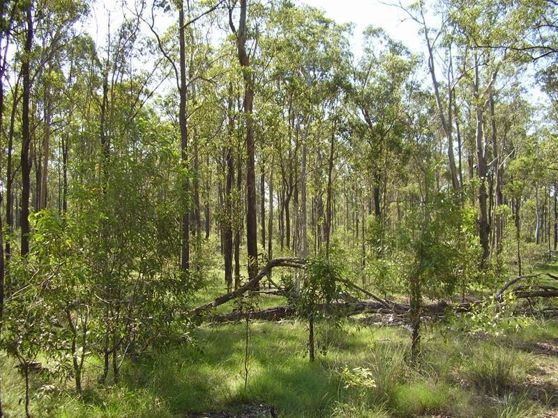 Yandaran QLD 4673