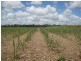 Farnsfield QLD 4660