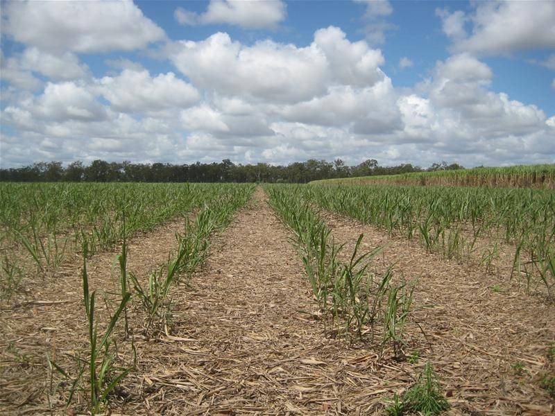 Farnsfield QLD 4660