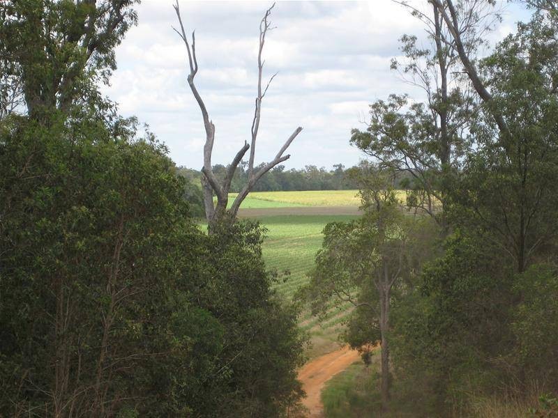 Farnsfield QLD 4660