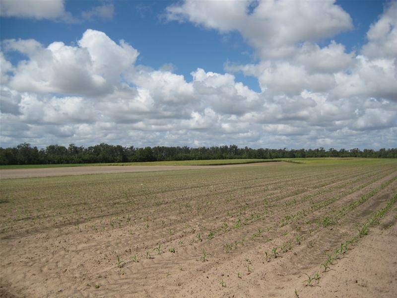 Farnsfield QLD 4660