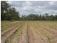 Farnsfield QLD 4660
