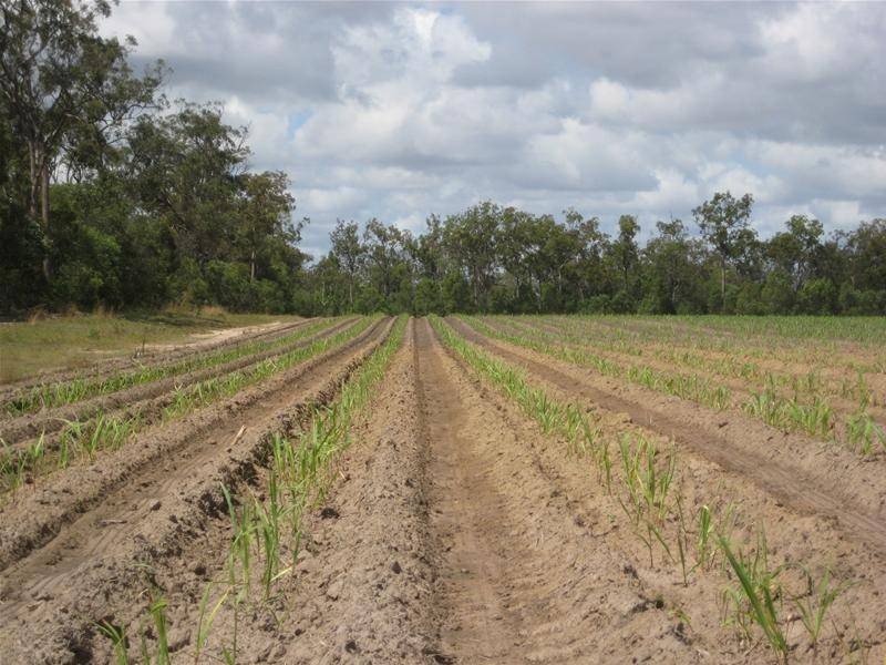 Farnsfield QLD 4660