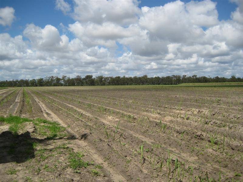 Farnsfield QLD 4660