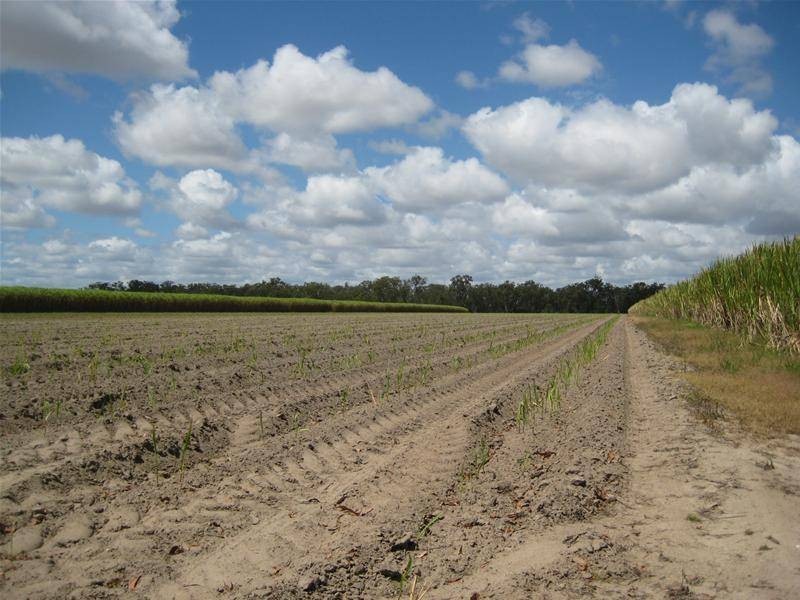 Farnsfield QLD 4660