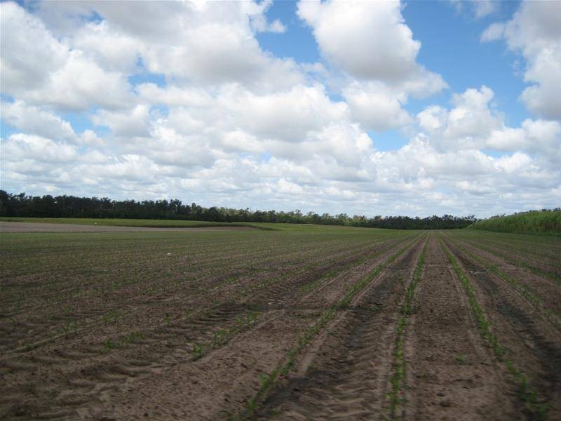 Farnsfield QLD 4660