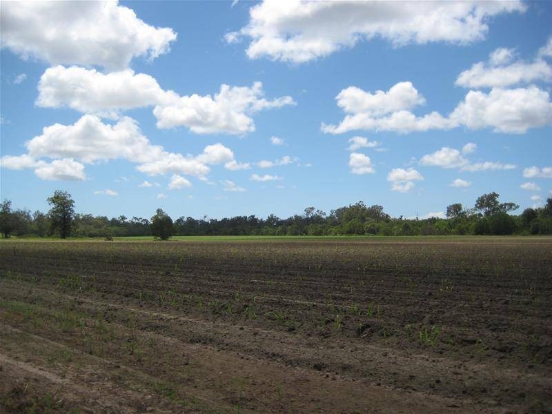 Farnsfield QLD 4660