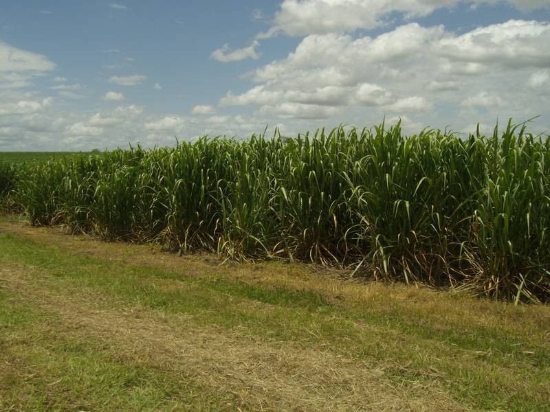 South Kolan QLD 4670