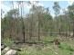 Lowmead QLD 4676