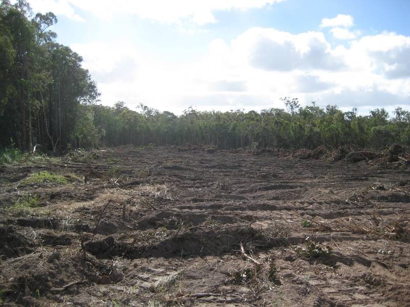 Redridge QLD 4660