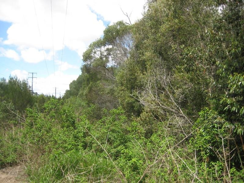Redridge QLD 4660
