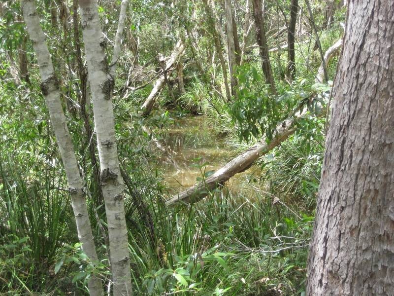 Redridge QLD 4660