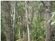 Redridge QLD 4660