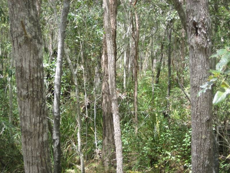 Redridge QLD 4660