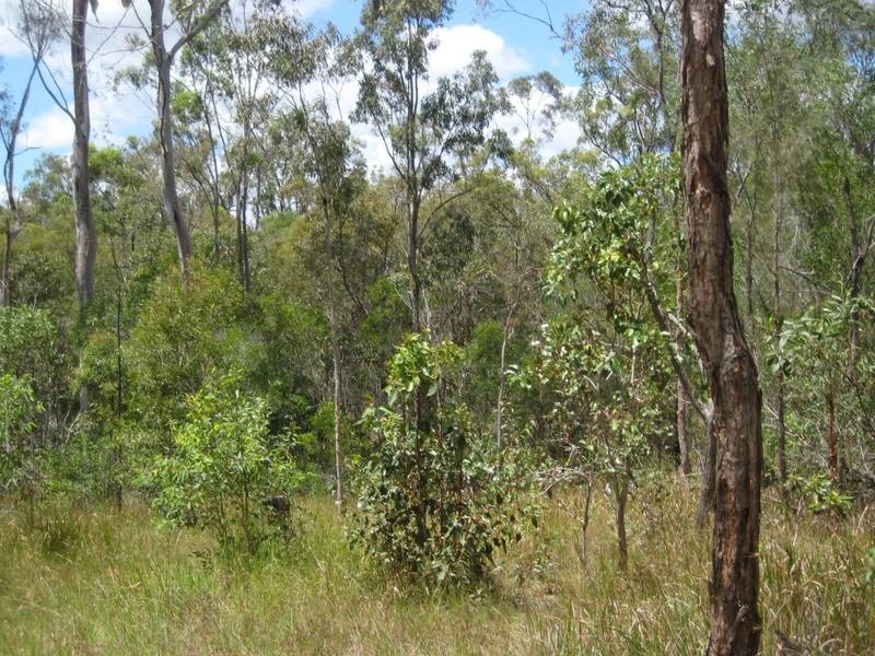 Redridge QLD 4660